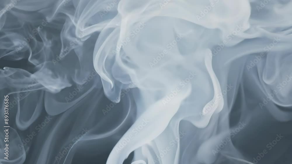 White smoke swirls isolated on black background
White smoke swirls isolated on black background