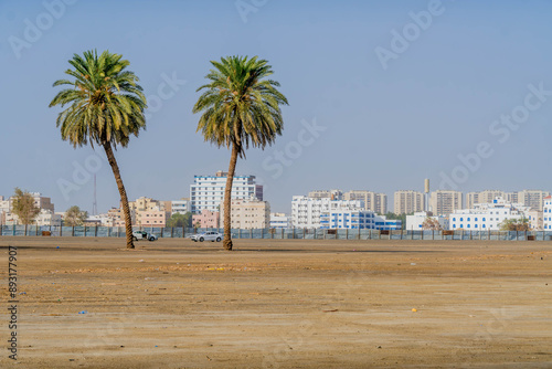 Two palms in the desert with the city panorama of Jeddah, Saudi Arabia, with the modern architecture buildings and residential area, Middle East.
 photo