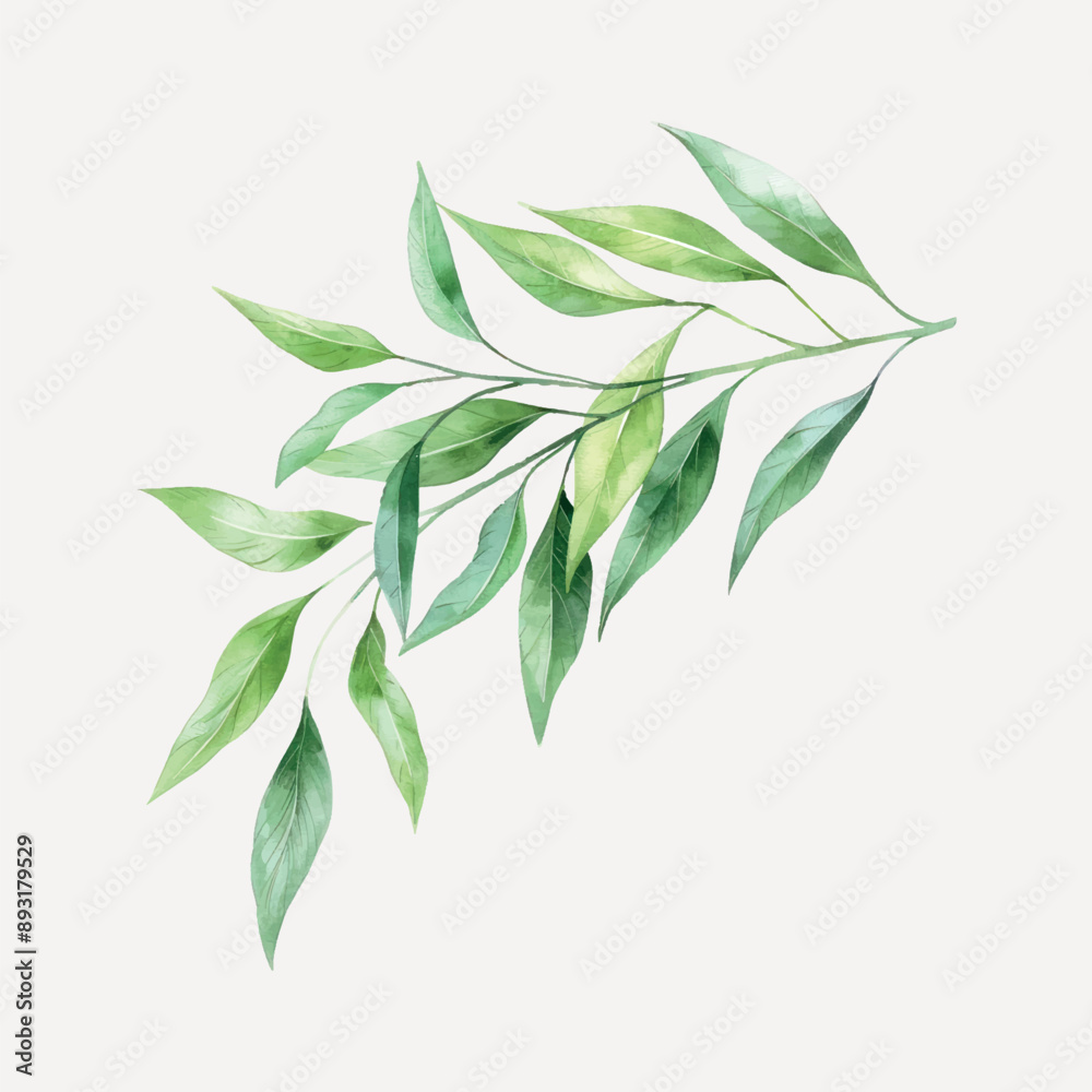 Fototapeta premium Elegant watercolor green leaves illustration