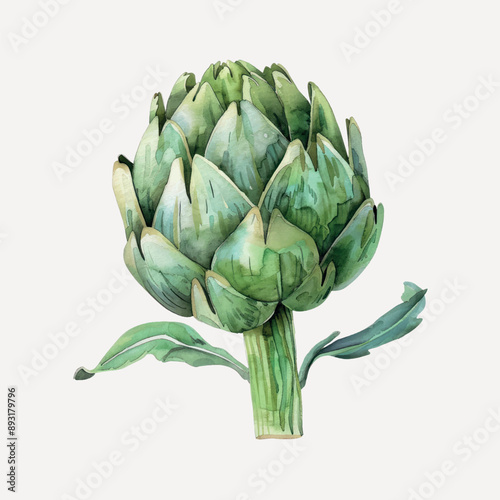 Watercolor artichoke vegetable illustration