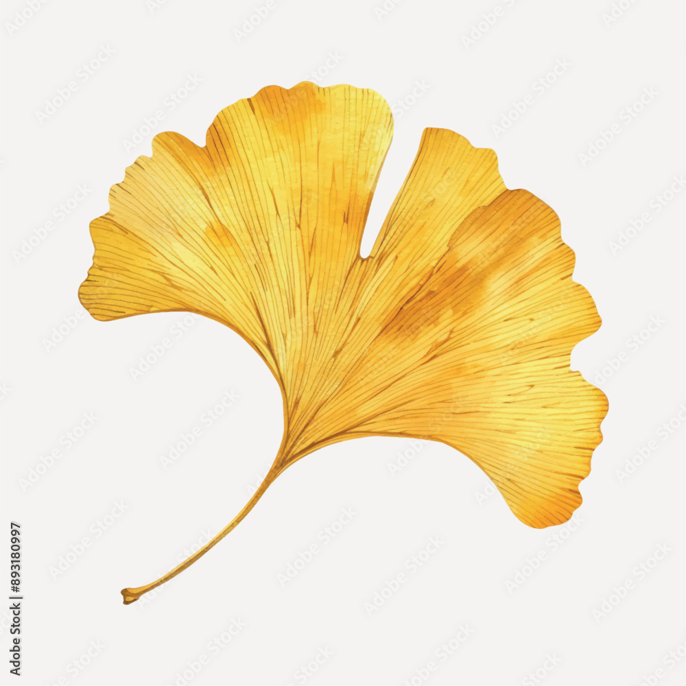 Golden ginkgo leaf illustration Golden ginkgo leaf illustration