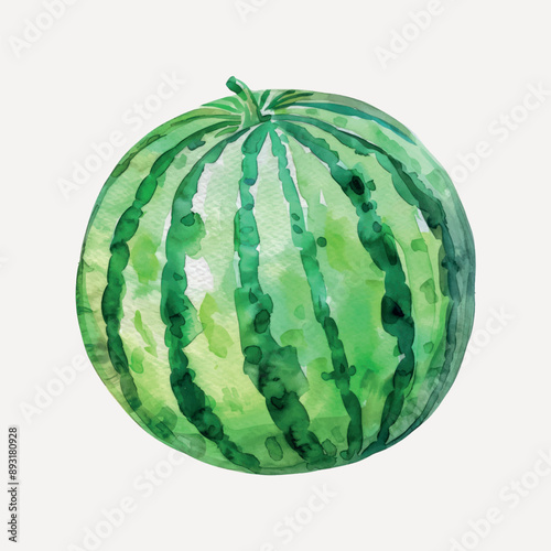 Watercolor watermelon fruit illustration