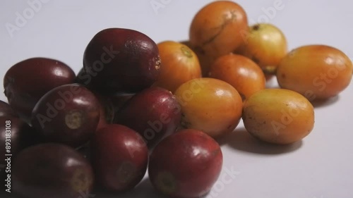 Video footage of fresh red and yellow arabica and yellow catura coffee berries