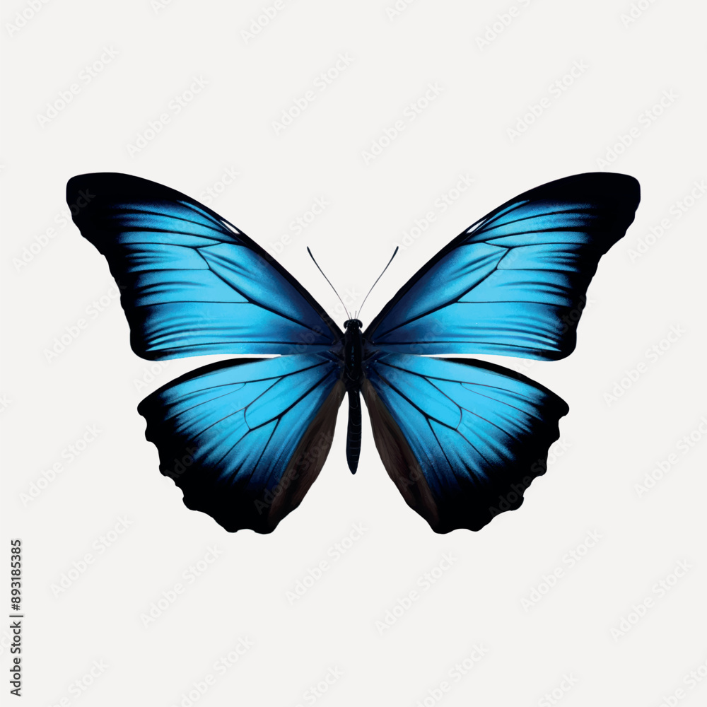 Vibrant blue butterfly wings Vibrant blue butterfly wings