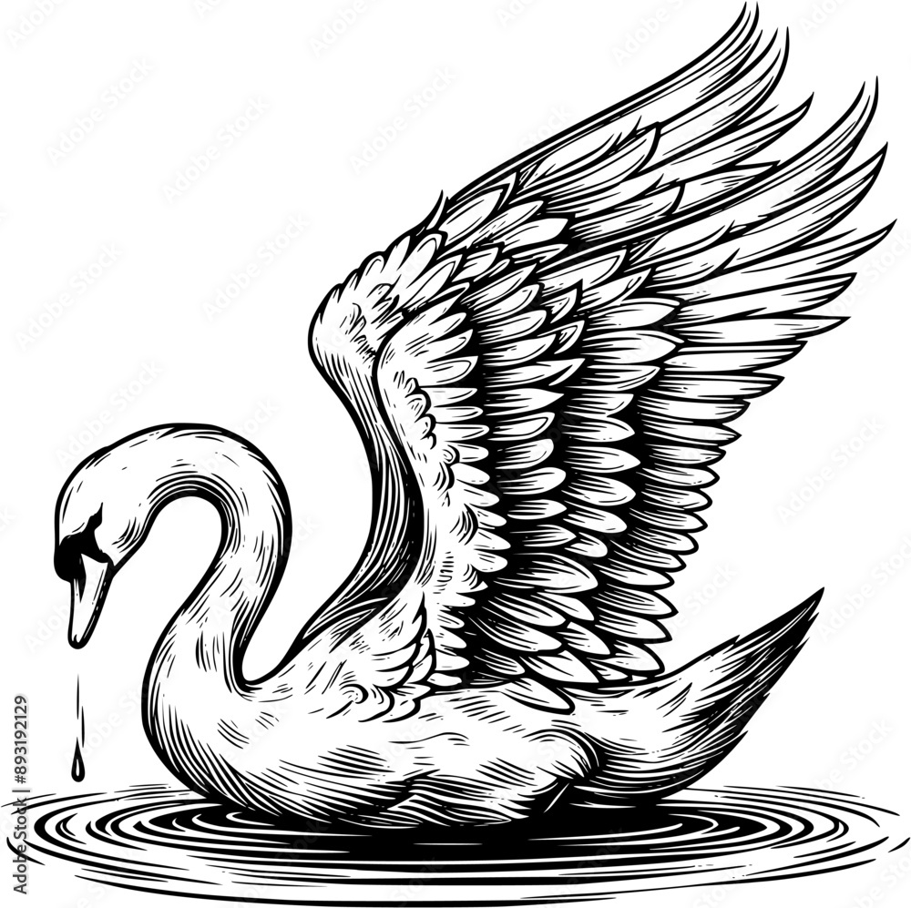 Fototapeta premium swan line art