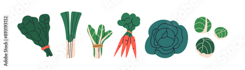 Vegetables set. Fresh healthy food. Organic natural farm produce. Green scallion, cabbage, bok choy, brussels sprouts, carrot, chard harvest. Flat vector illustration isolated on white background