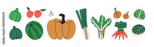 Natural farm vegetables set. Agriculture produce, harvest. Pumpkin, carrot, brussels sprouts, onion, garlic. Fresh organic vegetarian food. Flat vector illustration isolated on white background