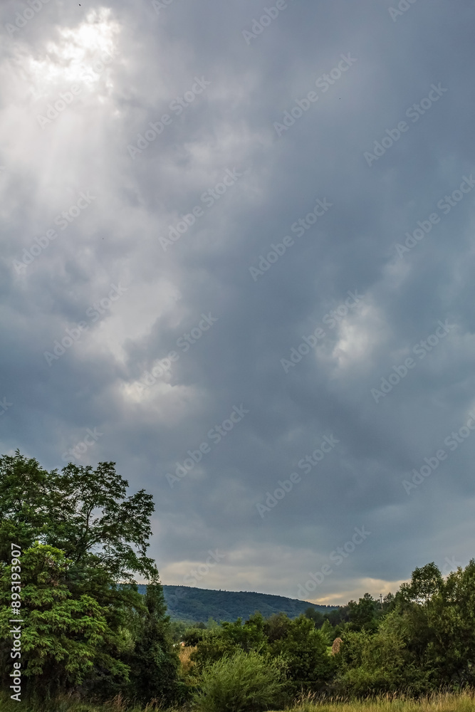 Landscapes - Forest - Europe, Romania, Suceava region Landscapes - Forest - Europe, Romania, Suceava region