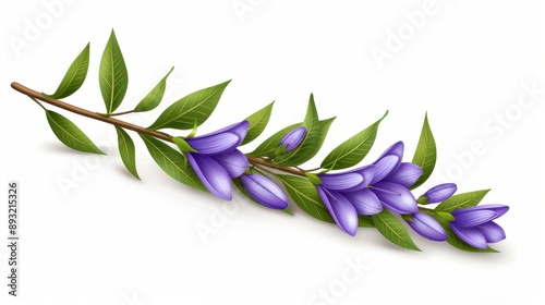 Delicate bluebell illustration with vibrant colors, highlighting natures beauty, perfect for floralthemed projects. photo