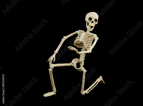 Skeleton isolated on black background