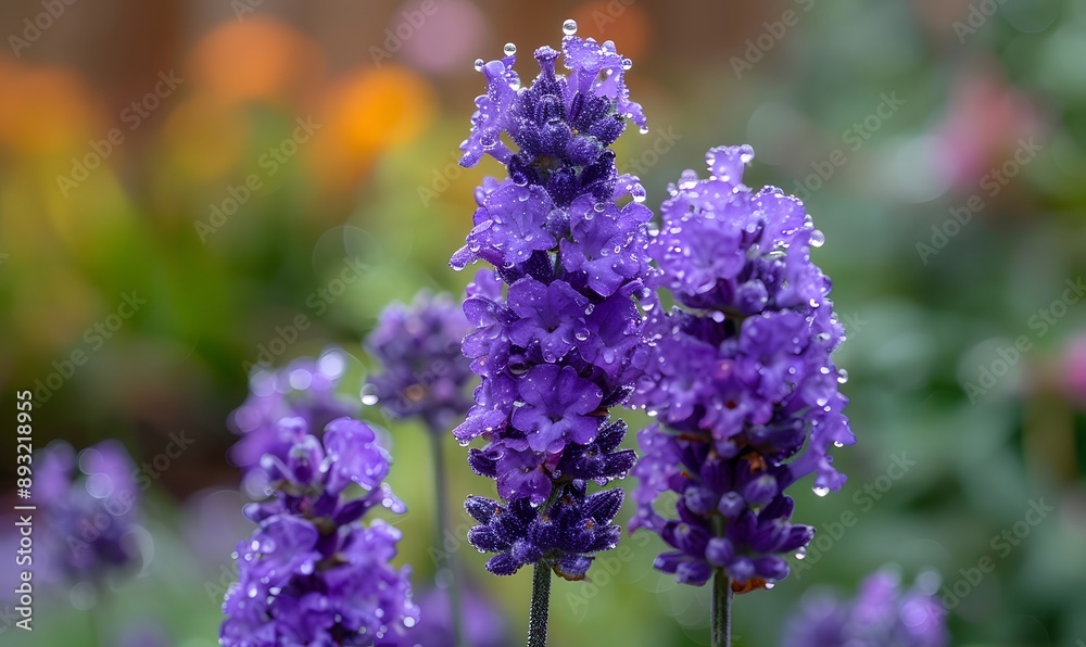 A cluster of purple lavender flowers, Generative AI A cluster of purple lavender flowers, Generative AI