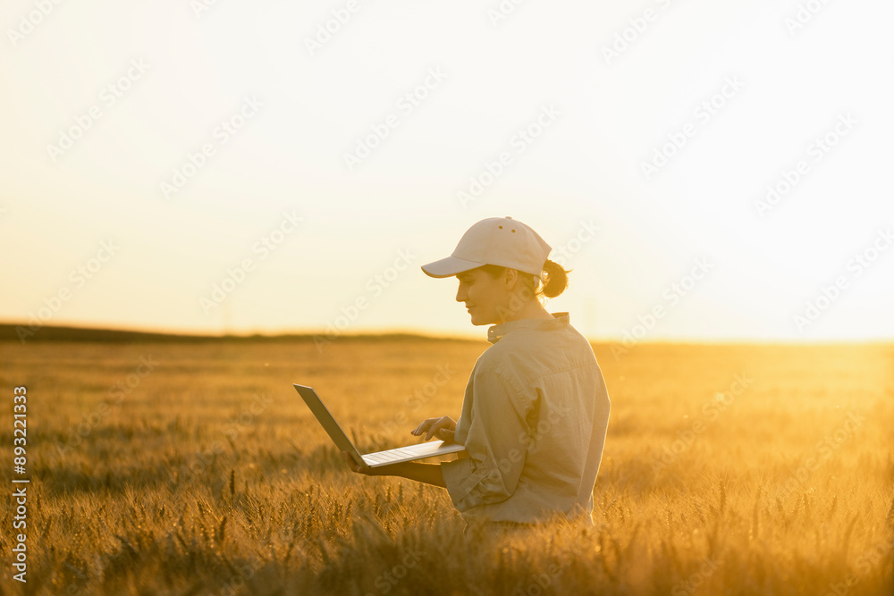 Farmer working on laptop amidst crops in wheat field Farmer working on laptop amidst crops in wheat field