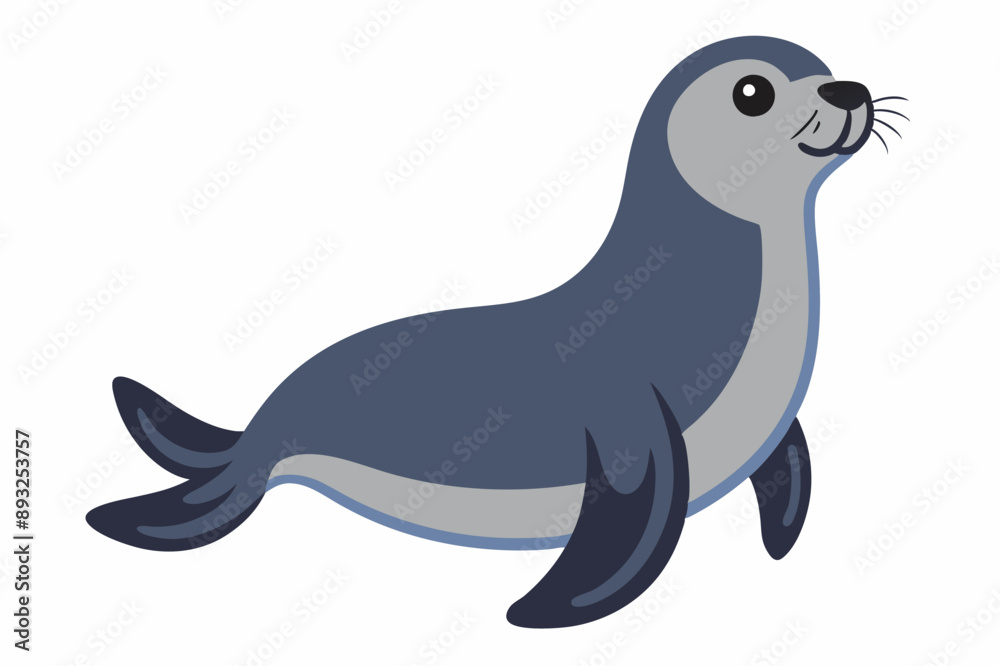 A Seal animal vector illustration