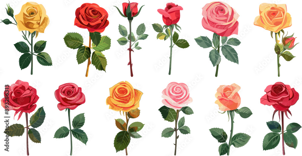 set of rose flowers and stems in color style set of rose flowers and stems in color style