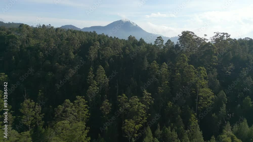 Aerial shot of drone flying over tree tops. View of Lake Situ Cileunca in South bandung, Indonesia Aerial shot of drone flying over tree tops. View of Lake Situ Cileunca in South bandung, Indonesia