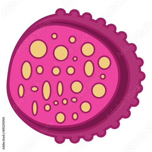 lysosome