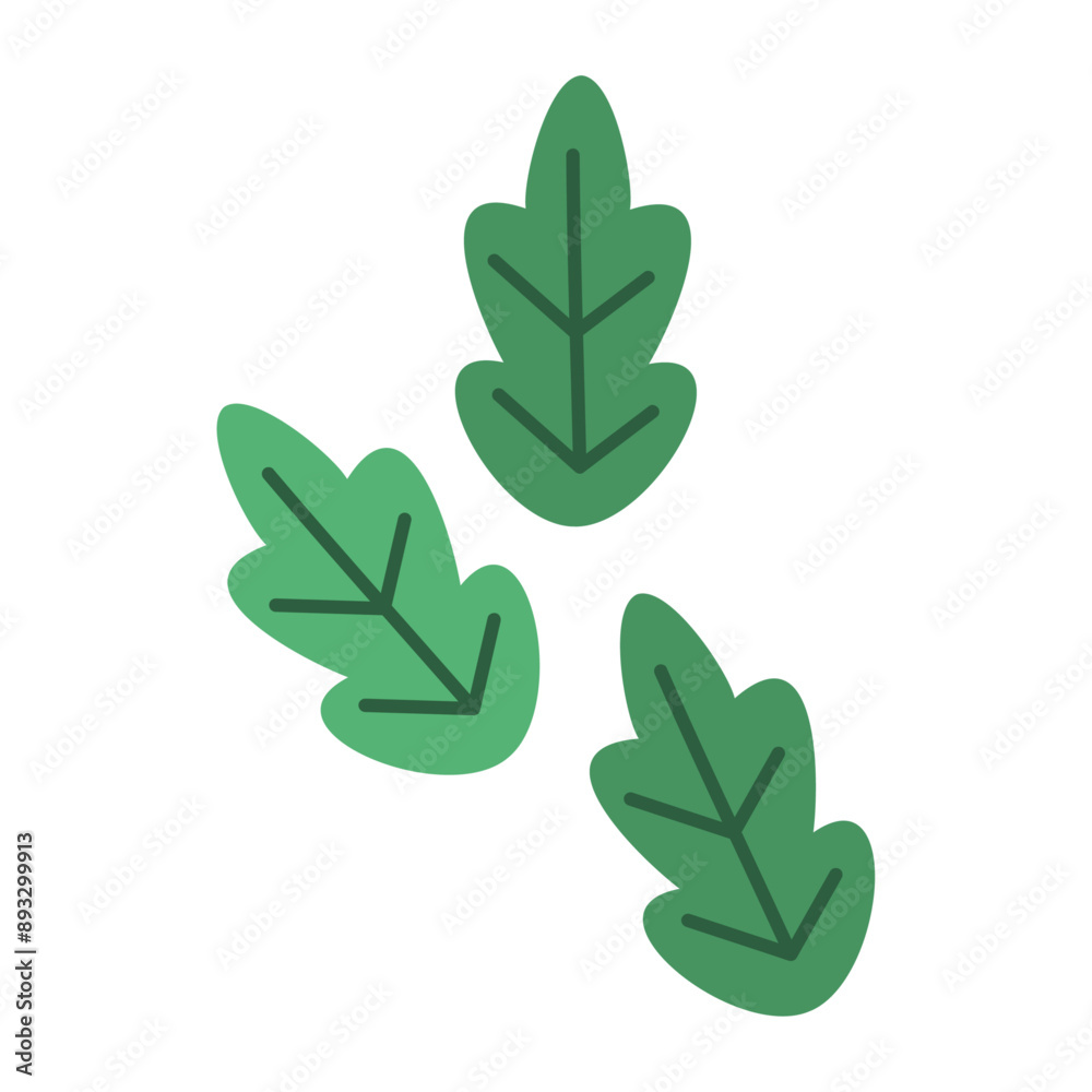 Hand drawn leaves collection on white background Hand drawn leaves collection on white background