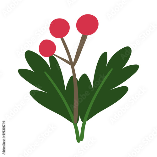 doodle nothern plant with red berries Hand drawn Christmas witner plant with berries