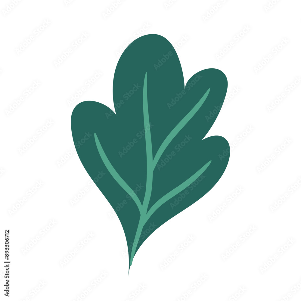 Botanical element Decorative branch Floral greenery on the white background Botanical element Decorative branch Floral greenery on the white background