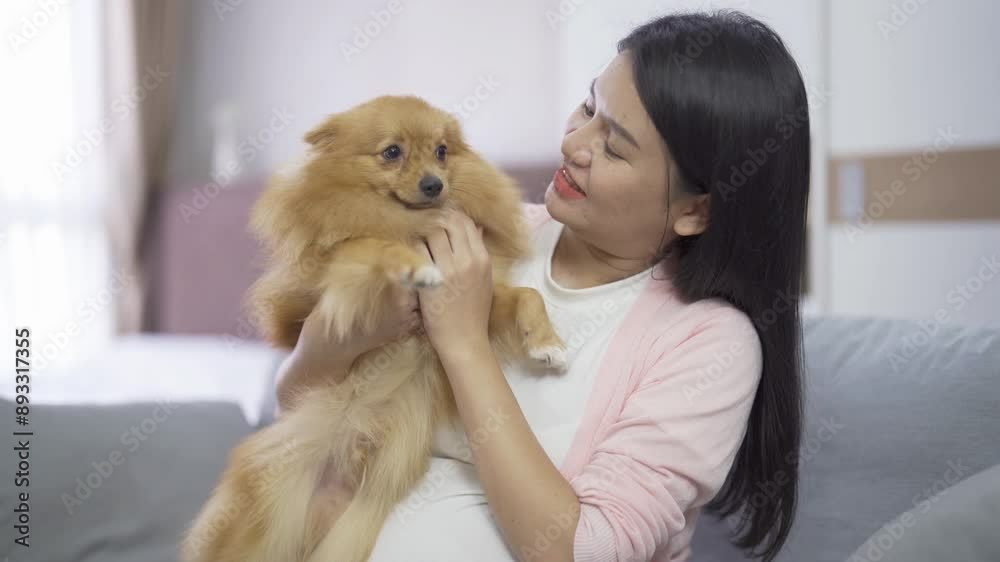 A portrait of happy Asian pregnant woman with domestic dog pet animal in bedroom at home. Having a baby. Family people lifestyle. Mom love. A portrait of happy Asian pregnant woman with domestic dog pet animal in bedroom at home. Having a baby. Family people lifestyle. Mom love.