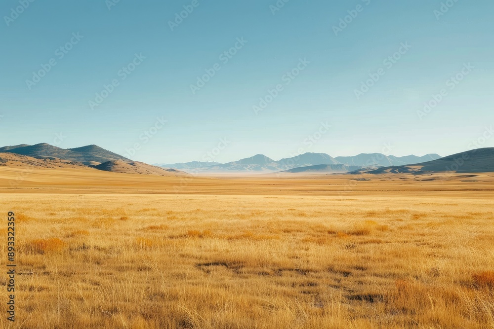 Obraz premium Wide Open Prairie with Distant Mountains