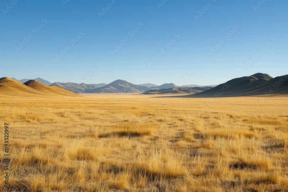 Expansive Golden Grasslands Under Blue Sky Expansive Golden Grasslands Under Blue Sky