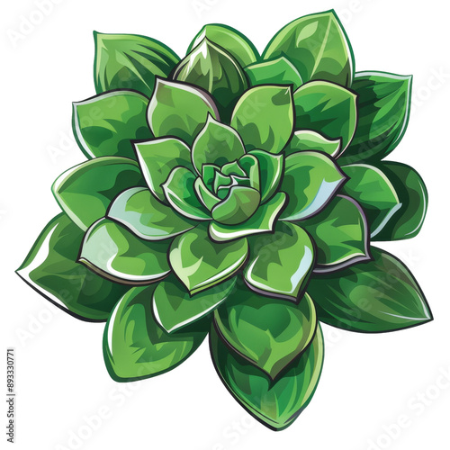 Detailed Succulent Plant Sticker on White Background