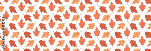 Autumn foliage pattern. Fall season leaves background. 