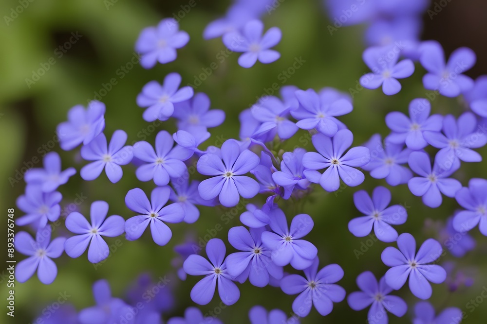 Cape leadwort flowers bokeh background, Ai generated Cape leadwort flowers bokeh background, Ai generated