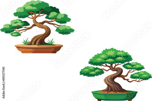 Two green bonsai trees growing on rocks