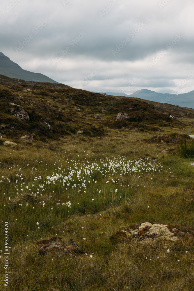 Fototapeta premium Faroe island beautiful landscape in summer time with sun