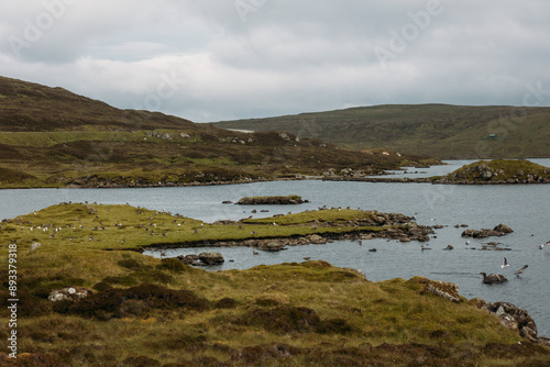 Faroe island beautiful landscape in summer time with sun