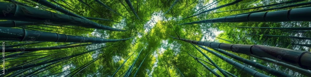 Fototapeta premium Serene Bamboo Forest: Upward View of Lush Green Canopy. Tranquil Meditation Sanctuary Amidst Nature's Embrace. Perfect Mindfulness Retreat After Rain, Celebrating World Environment Day. 4K Wallpaper f