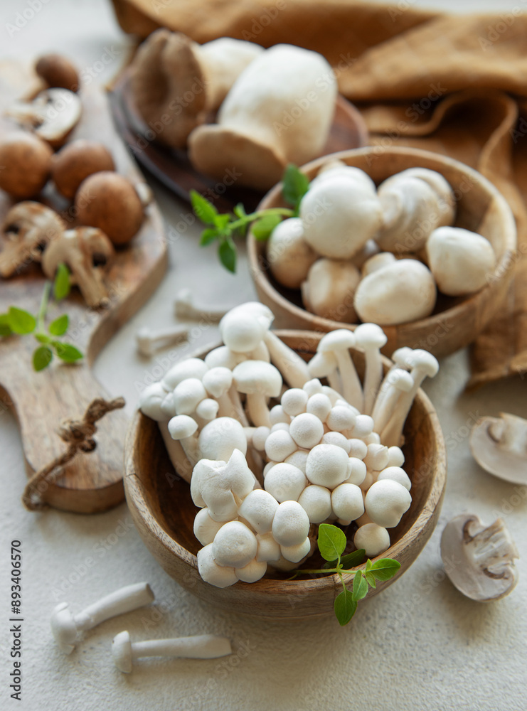 Assortment of various raw mushrooms on gray concrete background. Assortment of various raw mushrooms on gray concrete background.