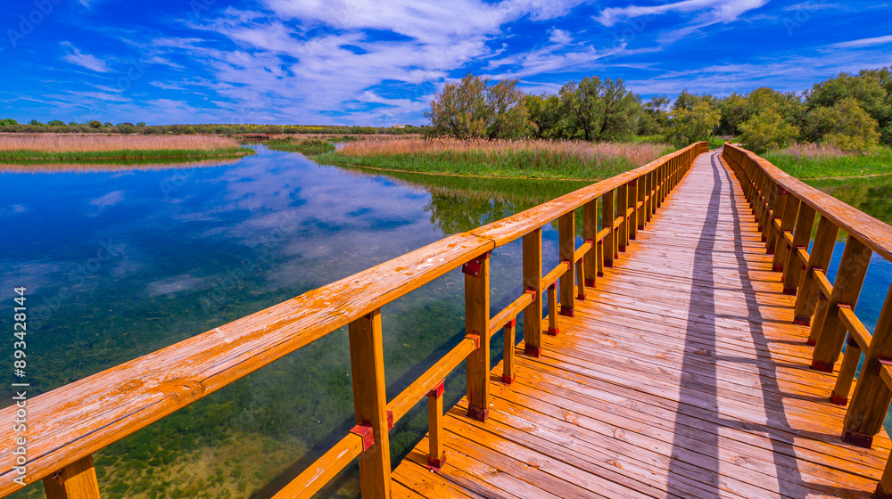 Tablas de Daimiel National Park, Daimiel, Ciudad Real, Castilla La Mancha, Spain, Europe Tablas de Daimiel National Park, Daimiel, Ciudad Real, Castilla La Mancha, Spain, Europe
