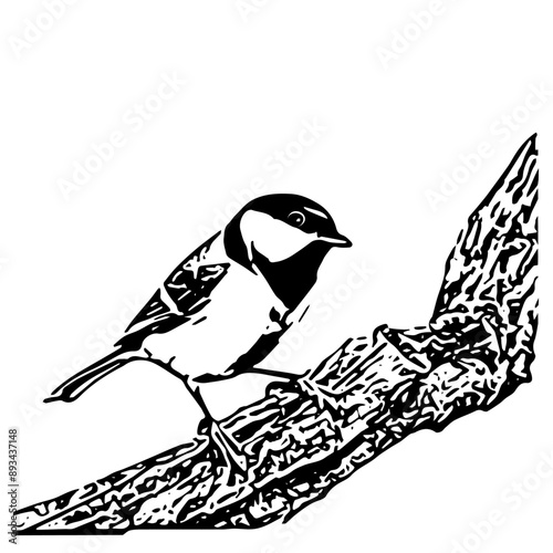 Great tit on a twig, black and white vector illustration