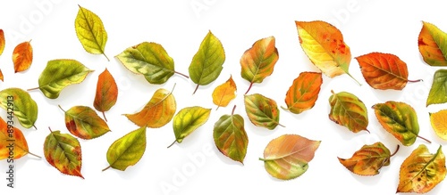 Autumn leaves set against a...