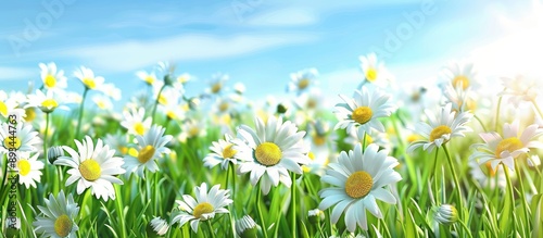 A picturesque field with da...