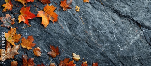 A background of autumn leav...