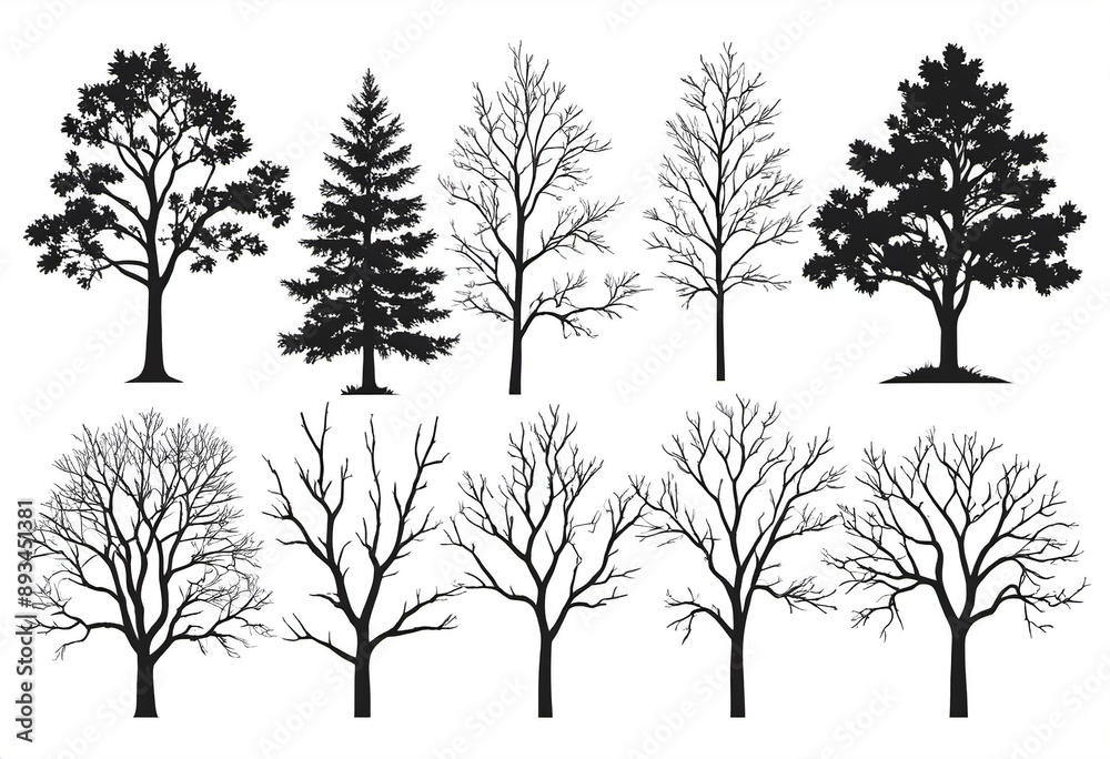 Obraz premium Autumn Forest Landscape Design Element - Tree Branch Silhouette