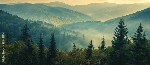 Scenic view of forest and m...