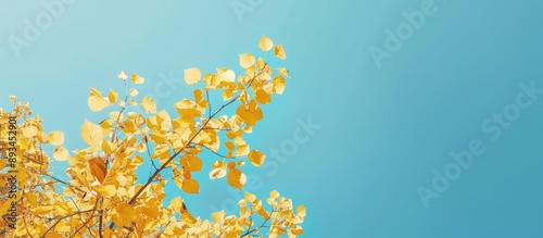 A scenic view of yellow lea...