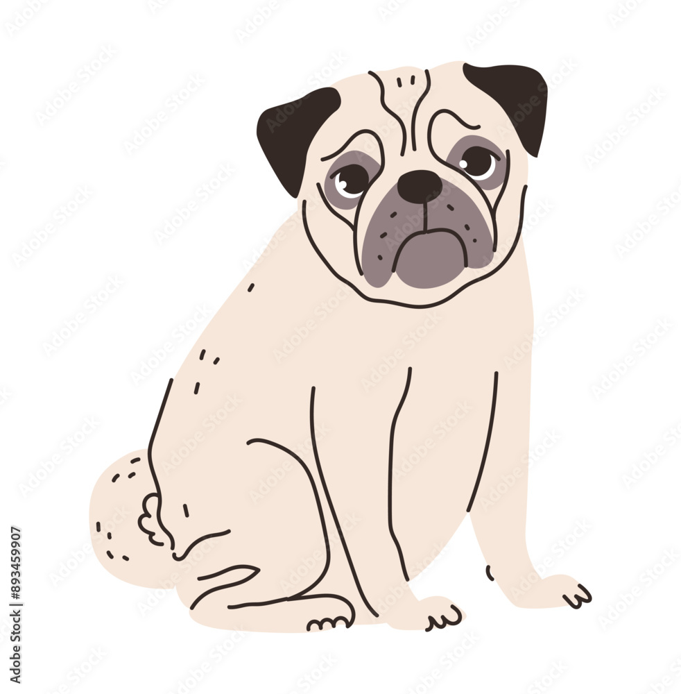 Flat vector illustration of a cute pug. This adorable breed is wrinkled face and short snout, perfect for pet and family-themed projects Flat vector illustration of a cute pug. This adorable breed is wrinkled face and short snout, perfect for pet and family-themed projects
