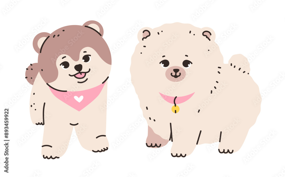 Playful spitz with its characteristic fluffy fur and alert expression. Dog isolated on a white background. Flat vector illustration Playful spitz with its characteristic fluffy fur and alert expression. Dog isolated on a white background. Flat vector illustration