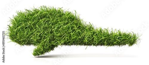 Speech bubble made of grass with copy space image on a white background. photo