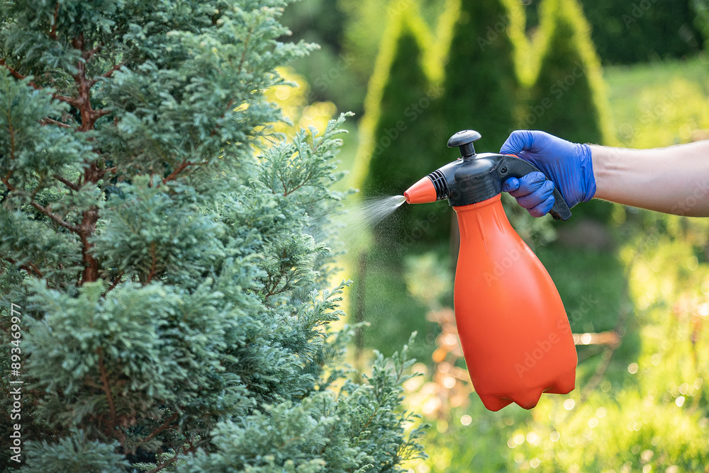 Treatment of ornamental plants from diseases and pests.