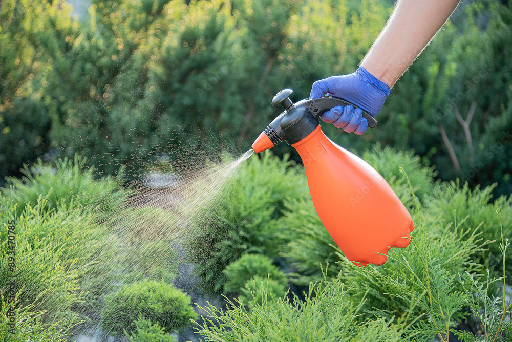 Treatment of ornamental plants from diseases and pests.