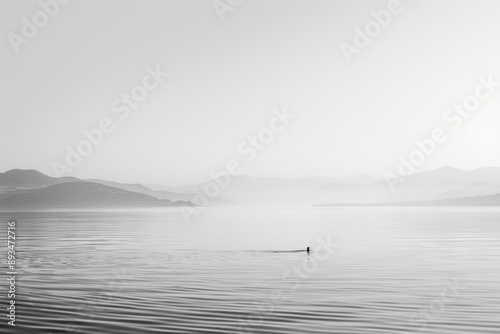 Silhouette Swimming in Misty Lake