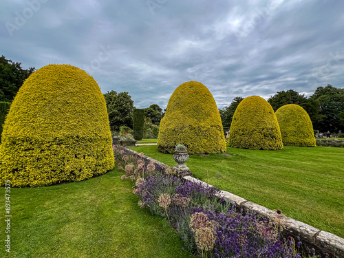 Topiary garden  photo