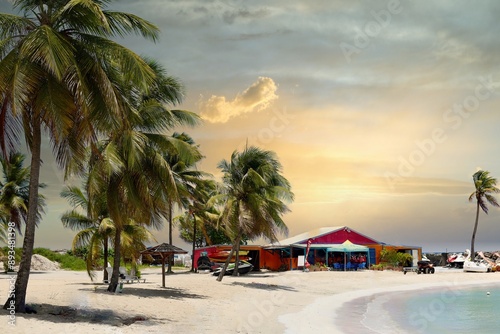 plage de cocotier au gosier en guadeloupe